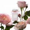 Toaletná voda AERIN Rose de Grasse Pour Filles